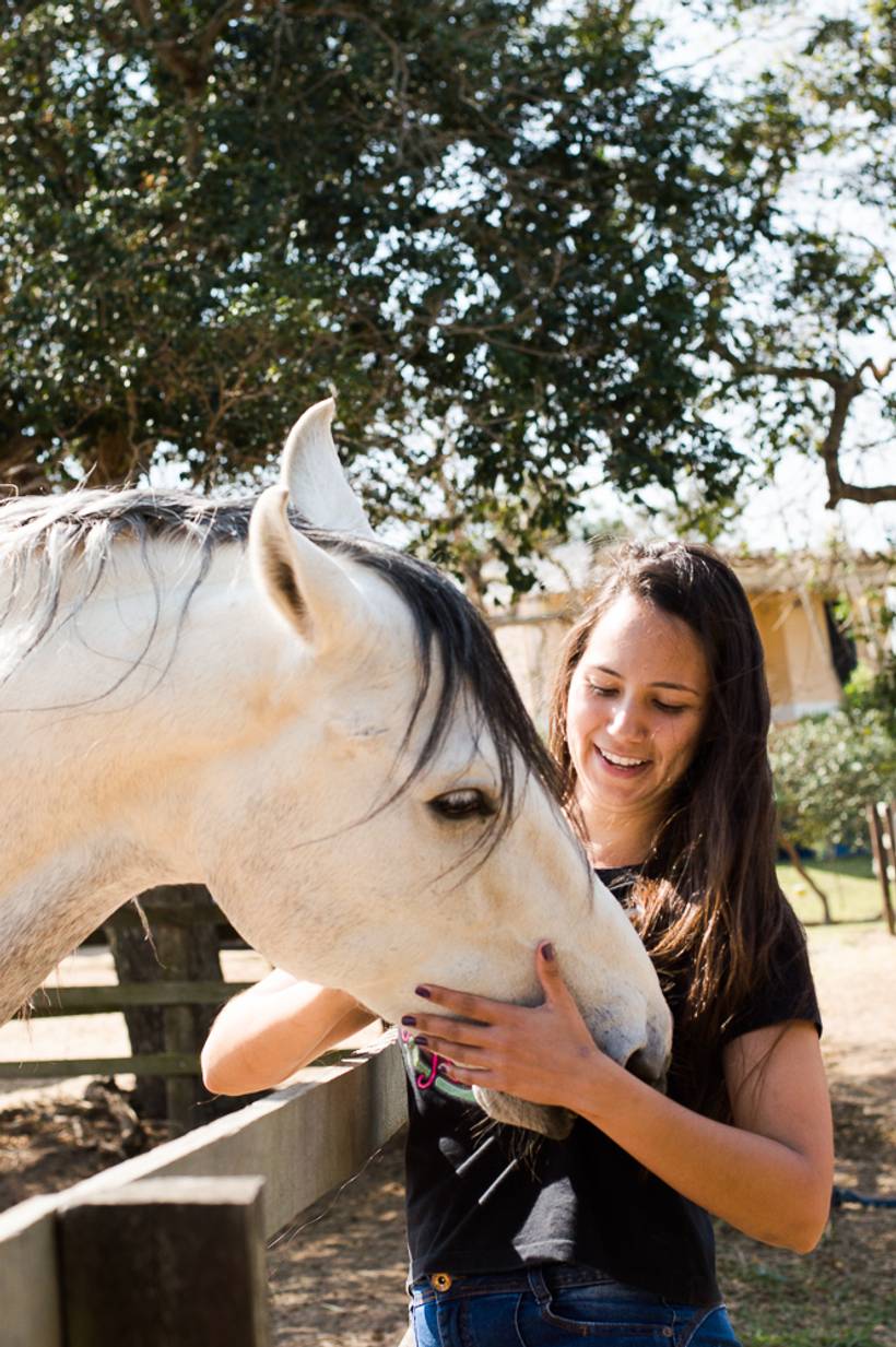 O cavalo é poesia em movimento