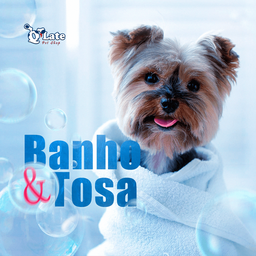 social media - Q'late Petshop