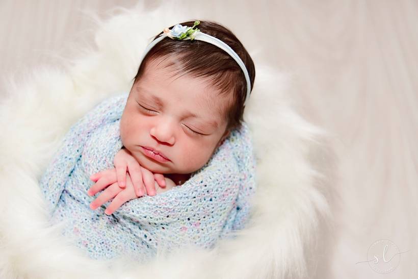 Livia