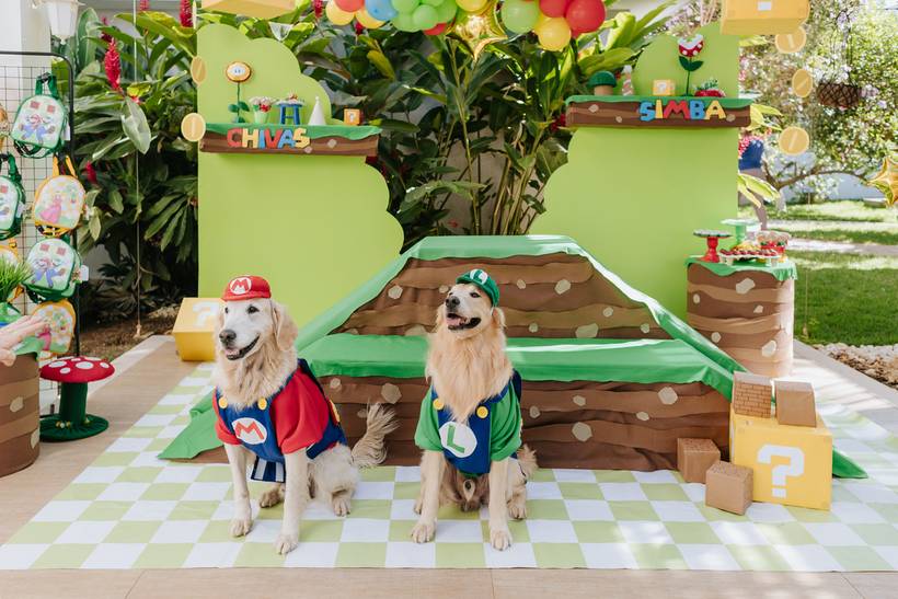  Simba & Chivas - Super irmãos