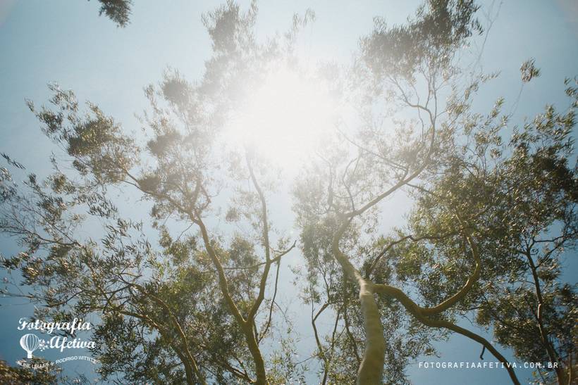 Centro de Educação Espiritual Robert Happé • Fotografia Afetiva •