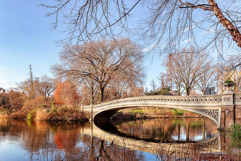 Spring in Central Park