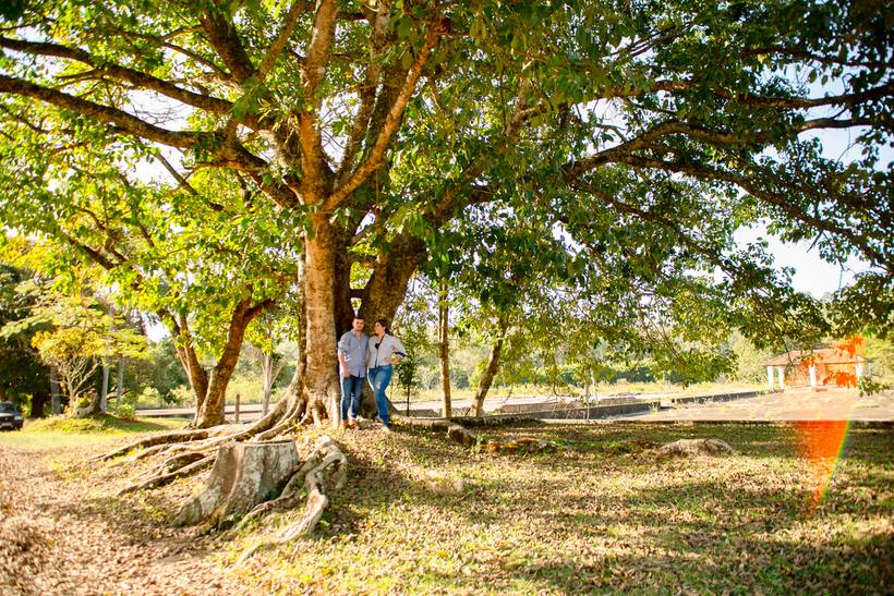 Ensaio Fotográfico Vitória e José