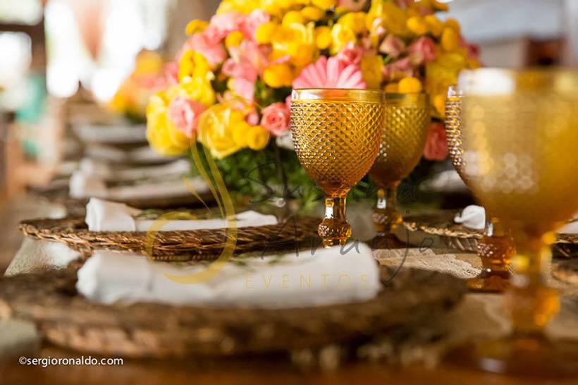 Flores Amarelas e Rosa