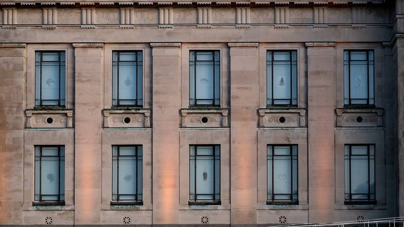Windows - Auckland 