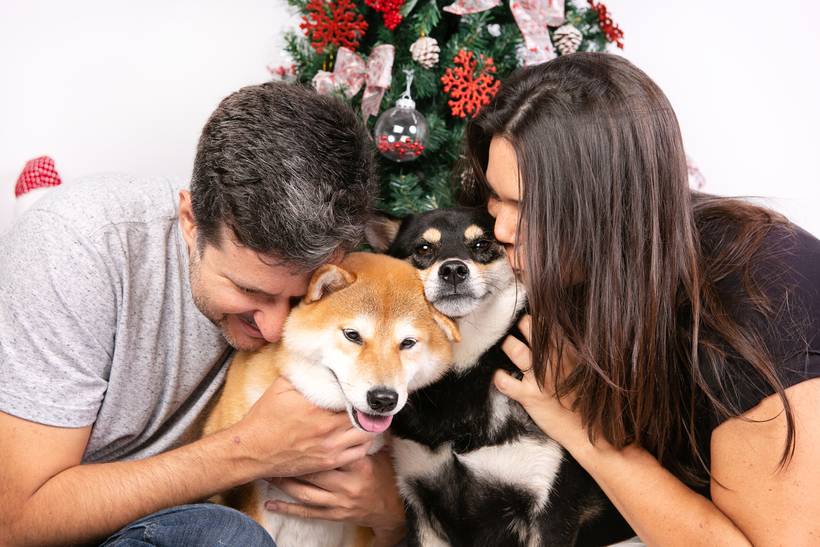 Ensaios temáticos - Natal 2021