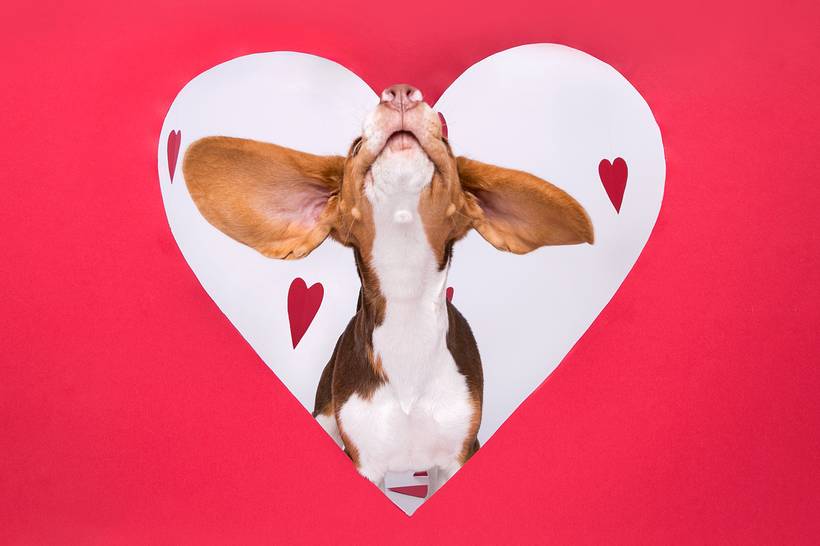 Ensaios Temáticos - Dias das Mães 2024