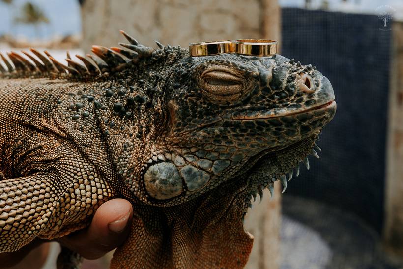 Making of da noiva - Punta Cana