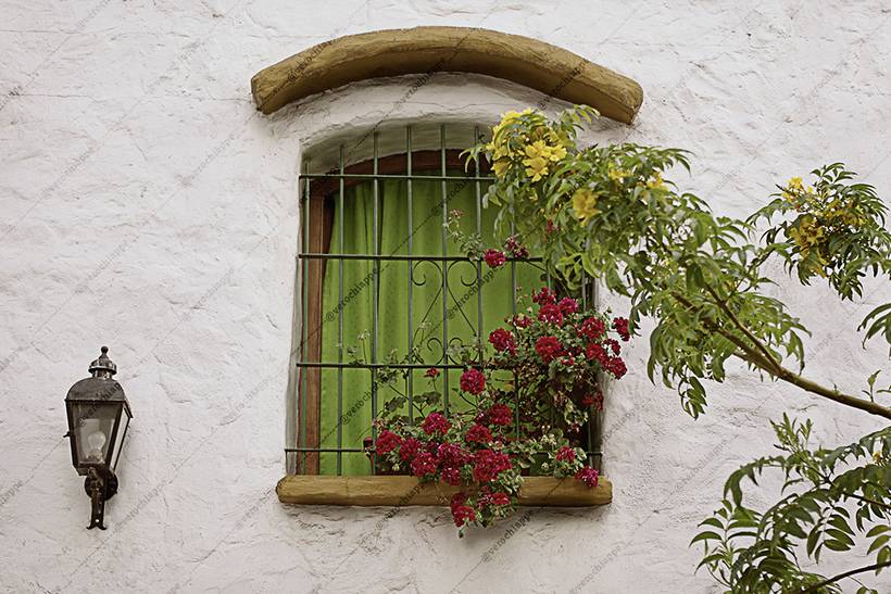 Puertas y ventanas