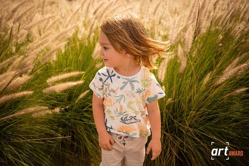 Categoria Família Dirigida - 33° round/2024 - FineArt