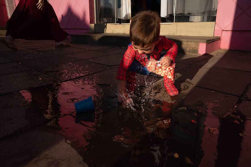 Categoria Festa Infantil - Coleção Garibaldi -  2° round/2026- Instinto Criativo