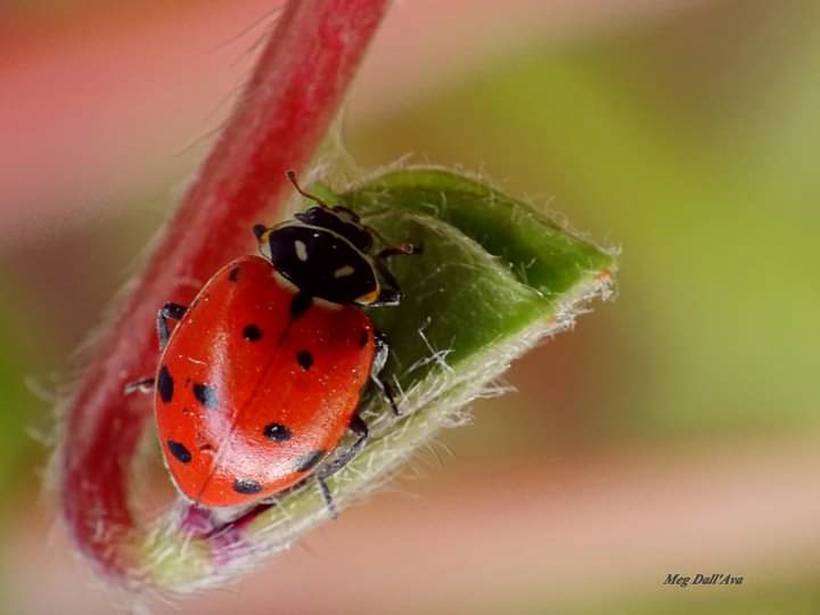 Dia internacional da Fotografia 2020