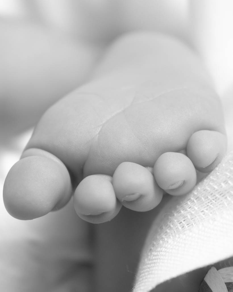 Bebê e New Born