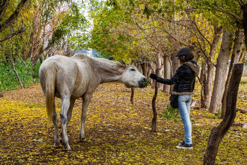 Foto-Travelling por la provincia de Mendoza. Arentina
