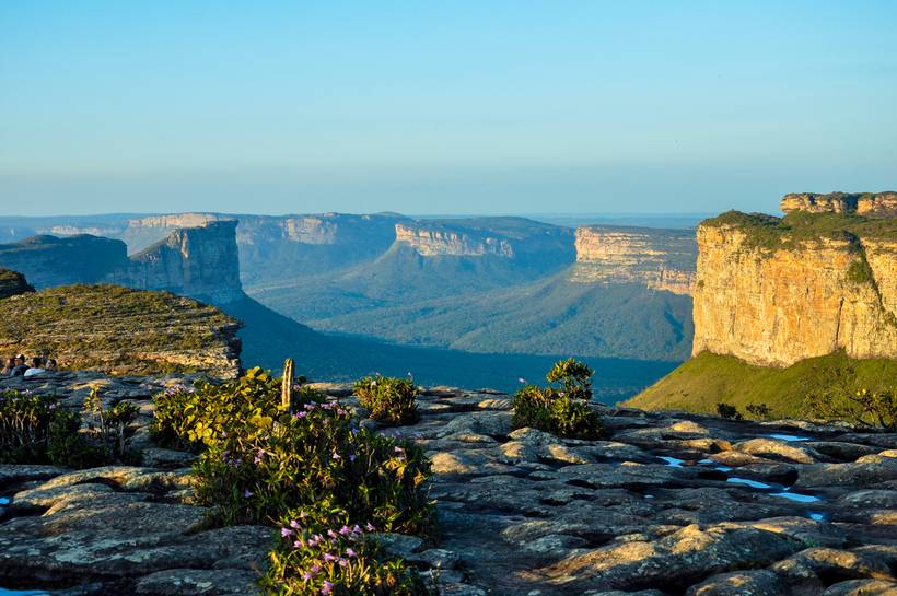 Palmeiras - Expor Chapada Diamantina