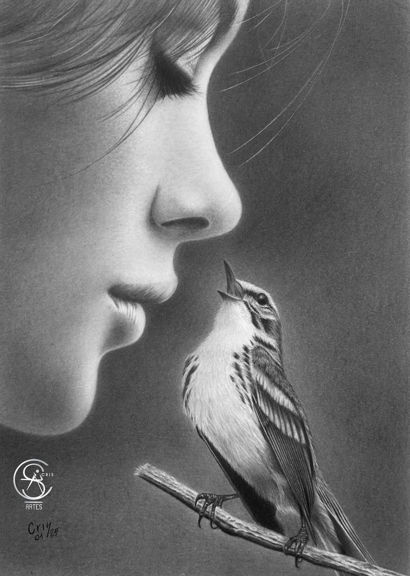 A suavidade dos pássaros