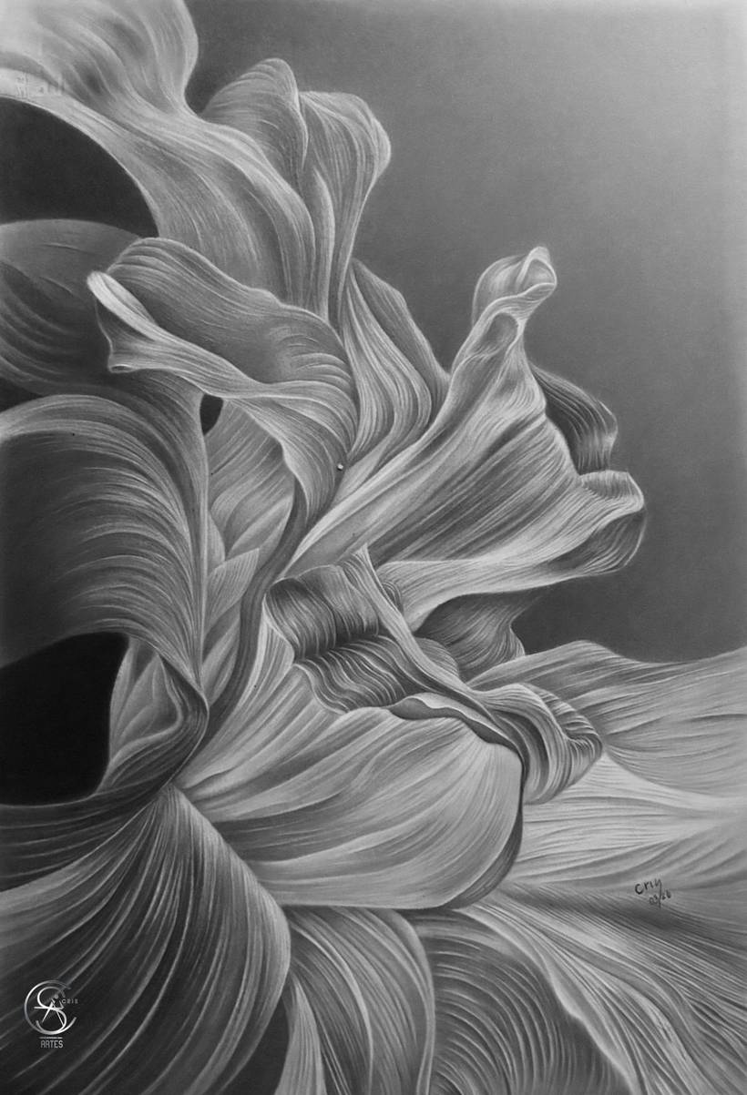 FLORES