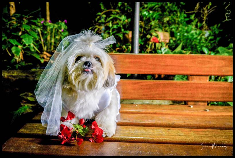 MAKING OF EMOCIONANTE