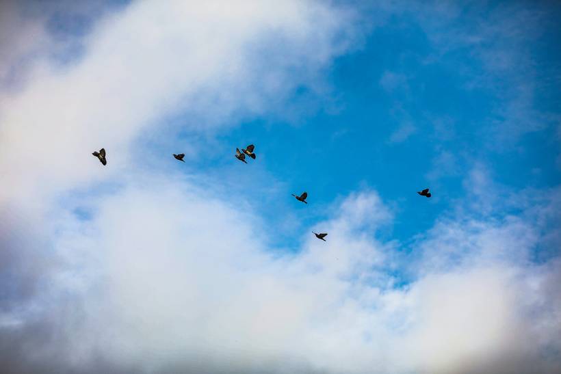 YERUTI ACOSTA  +  MARISSA MACORITTO 