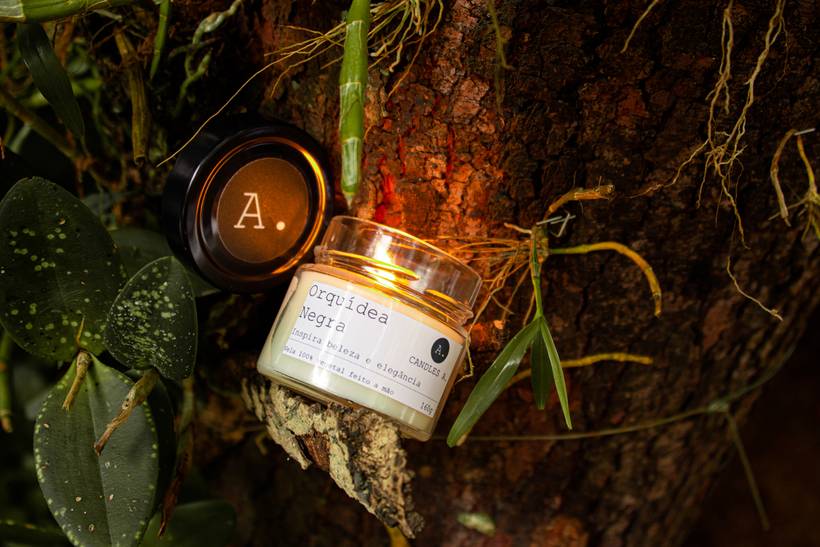 Profissional/Produtos