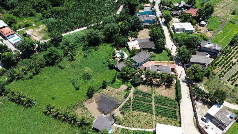 Agricultura no Mendanha