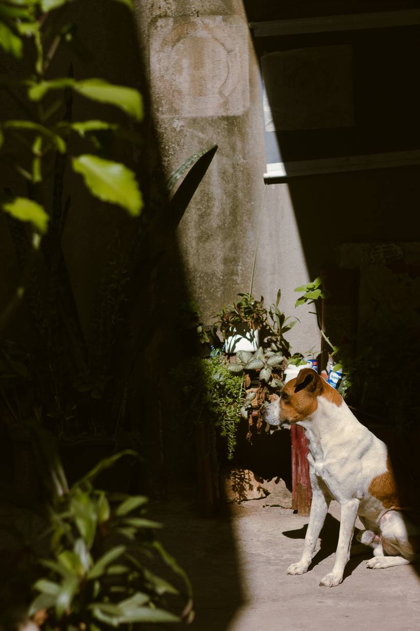 Treino de Luz & Sombra