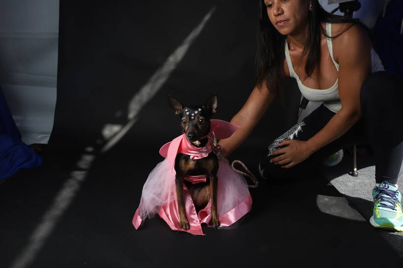 MAKING OFF