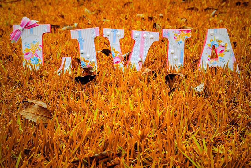 Ensaios de Famílias