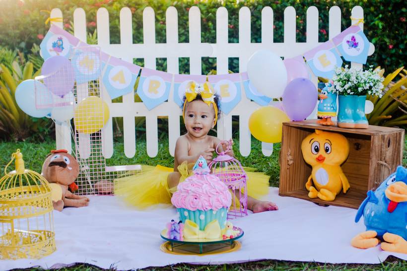 CELEBRAR BDAY INFANTIL (SMASH THE CAKE) - EXTERNO