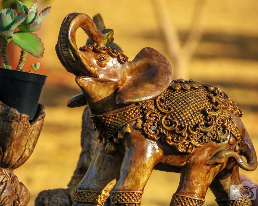 Móveis e Objetos de Decoração