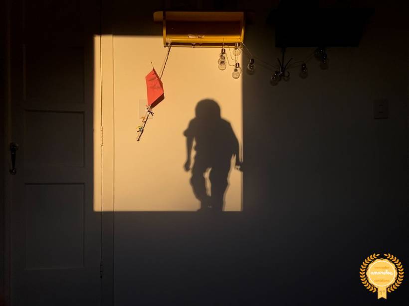 Amarelos Concurso de Família