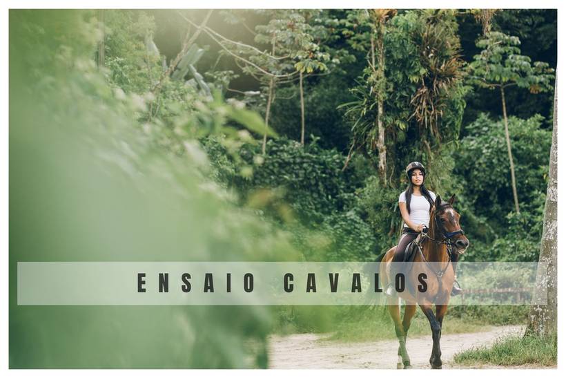 Cavalos