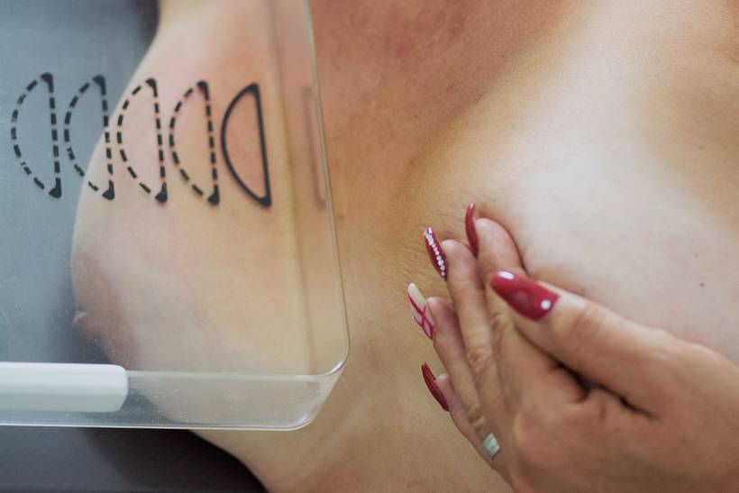 Perspetivas do Olhar