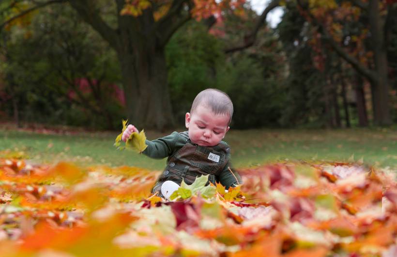High Park - Toronto - Canadá