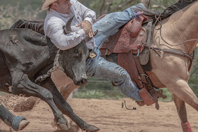 ANB Finals 2020 - Associação Nacional de Bulldog