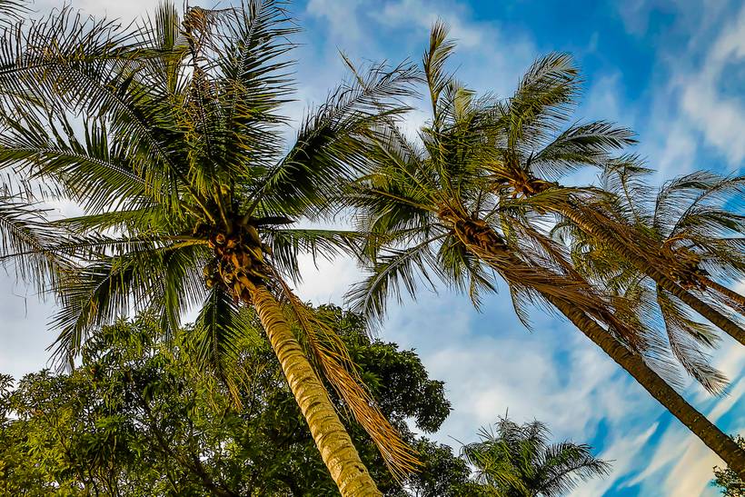 A natureza agradece! (Clique aqui)