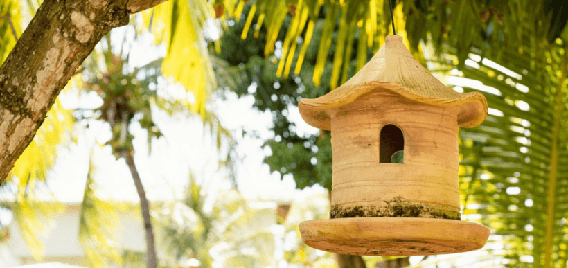 Fotografia de Paisagens e Natureza