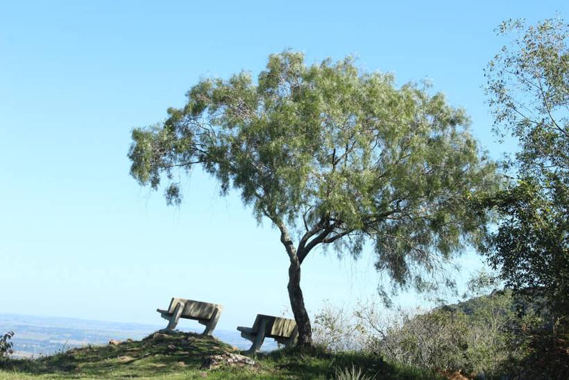Parque Natural Municipal dos Morros de Santa Maria - RS