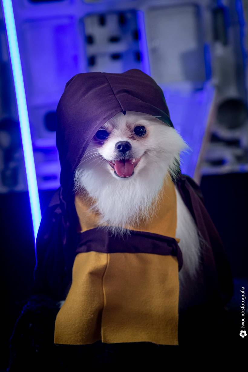 Ensaio Tematico Pet Star Wars