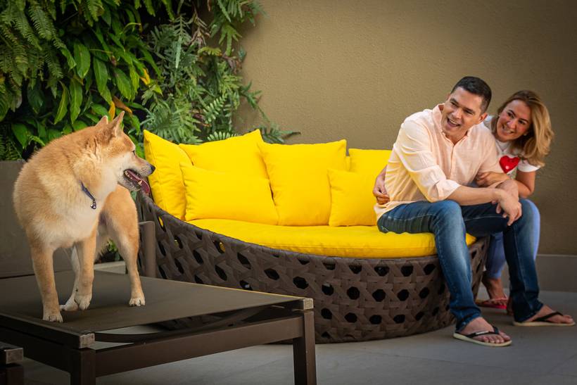 Ensaio pet lifestyle