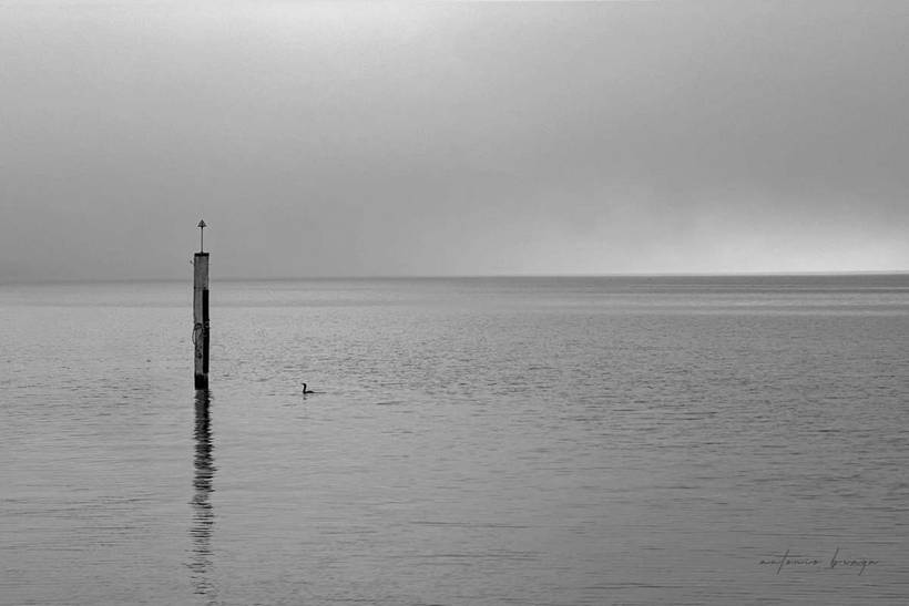 Black and white landscaps