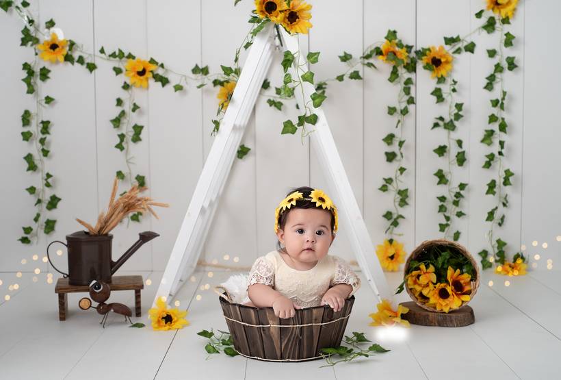 Acompanhamento do bebê