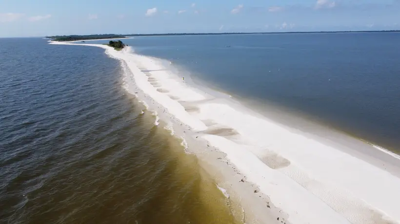 Restinga da Marambaiaia