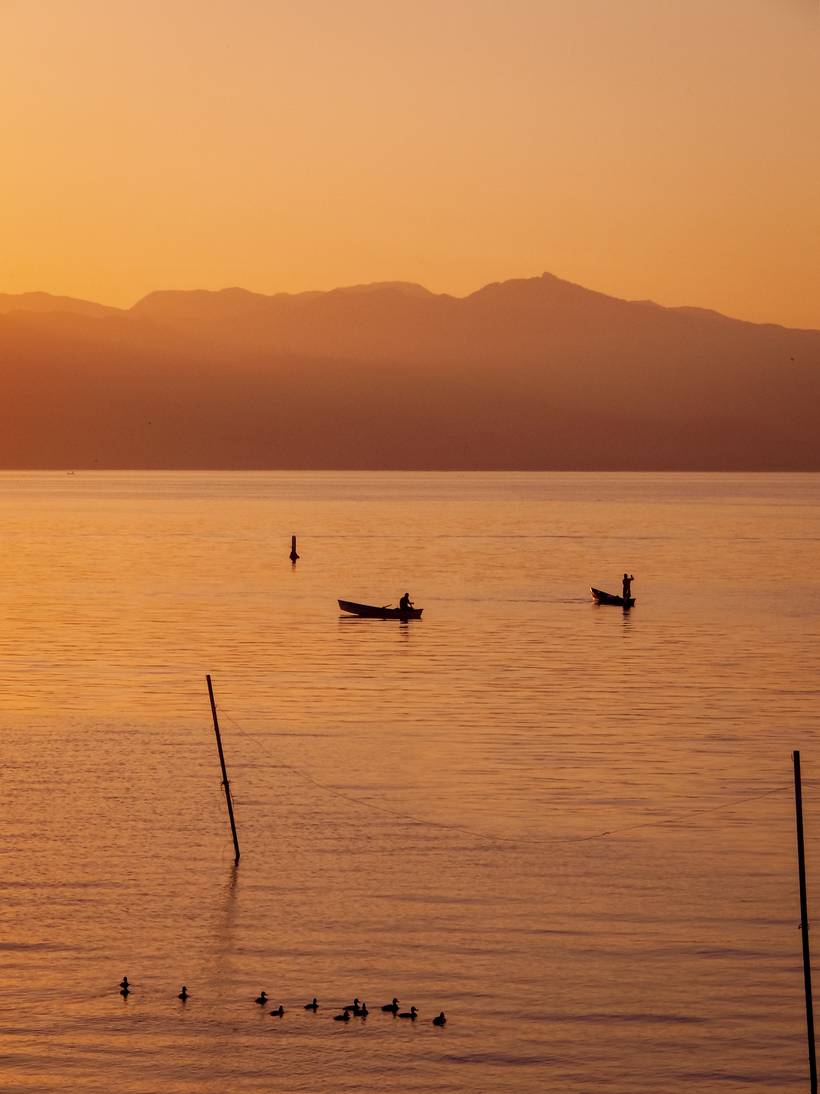 Exposición Fotográfica 