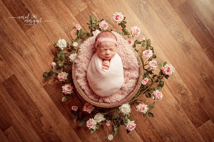 Composições - Newborn - Menina