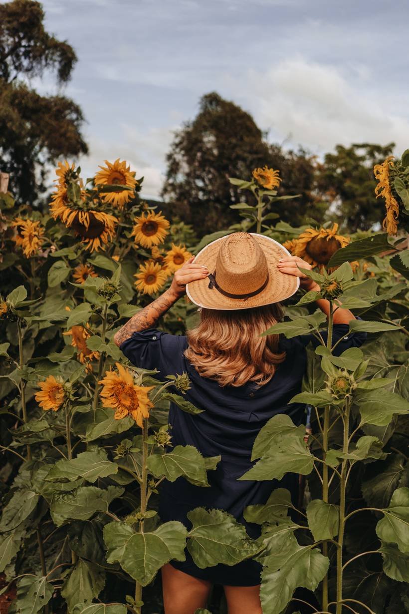 Ensaio girassol feminino da Gi