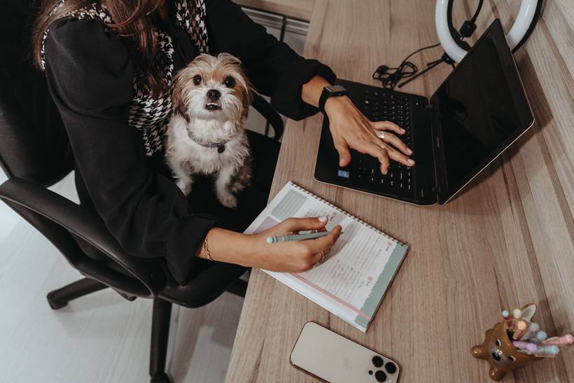 Ensaio de marca pessoal medica veterinária Thaisa