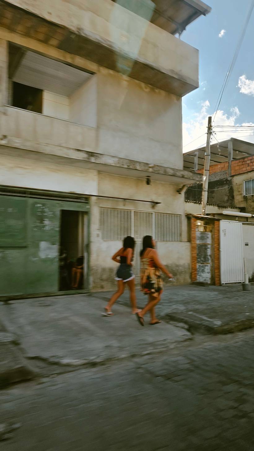 Formigueiro das Américas