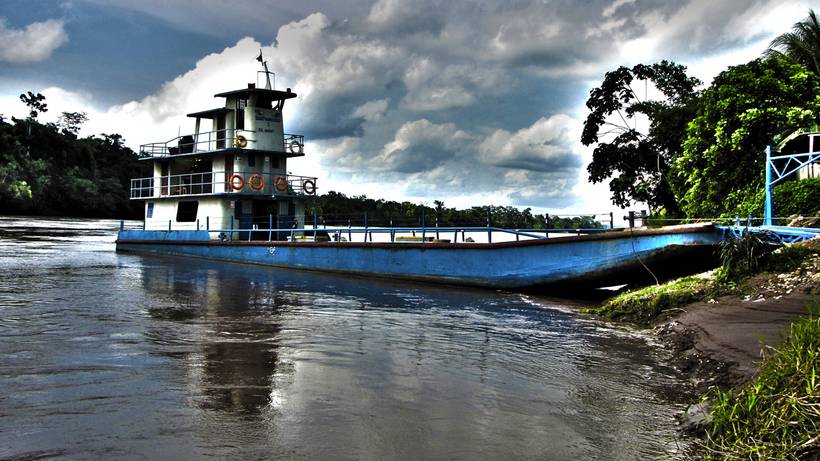 La vida en una toma...