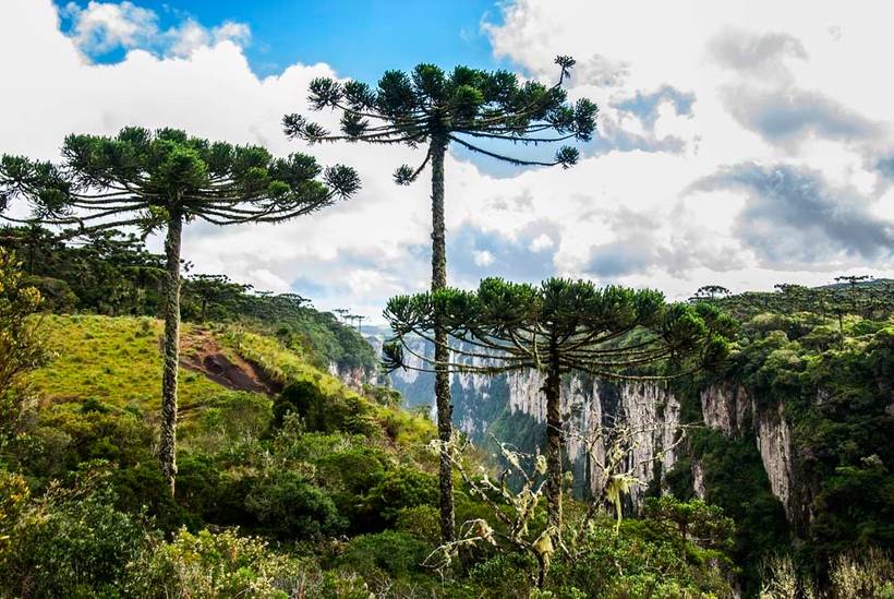 Itaimbezinho (Cambará do Sul RS) - Banco de Imagens